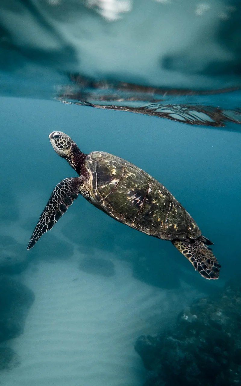 שיווק B2B ב-2026: מה באמת משתנה ומה לא